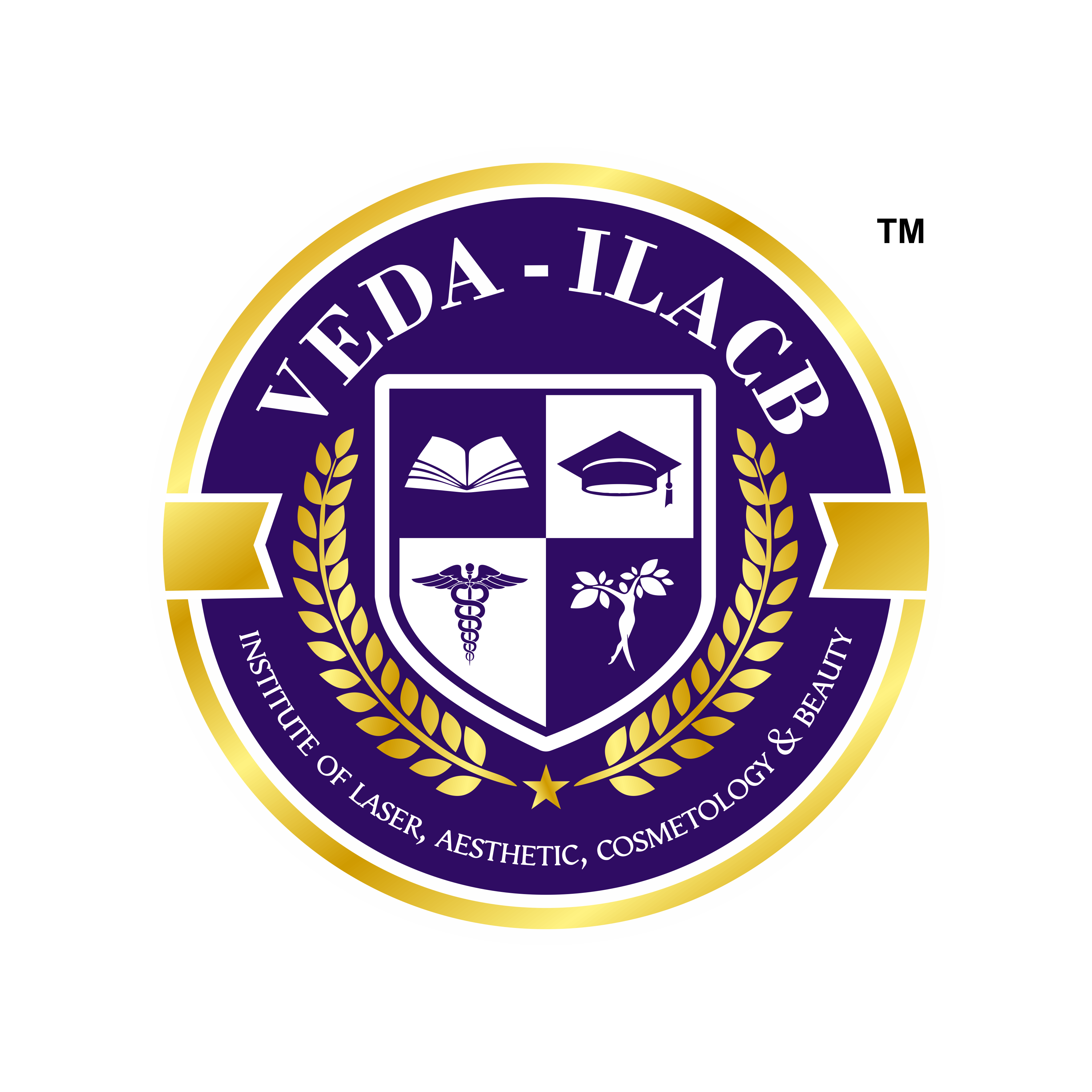 VEDA-ILACB Logo